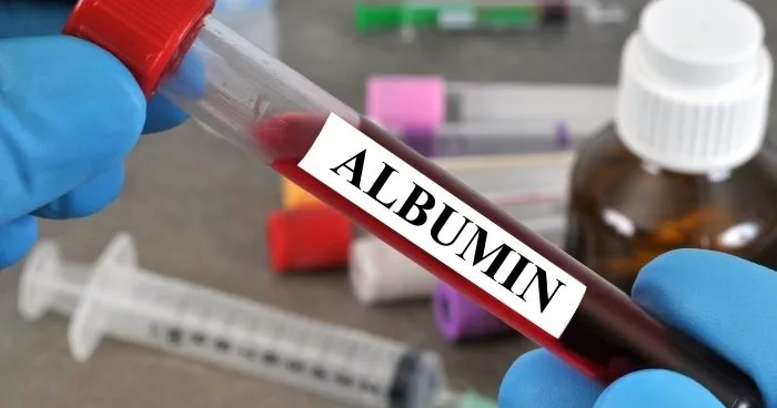 albumin