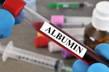 albumin