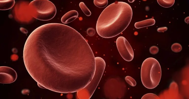Foods-to-Increase-Platelets-768x575 (1)