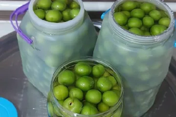 ترشی-گوجه-سبز-دستور-اصلی-عکس