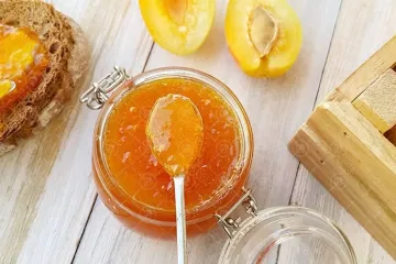 Apricot-marmalade