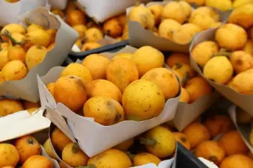 گلابی جنگلی