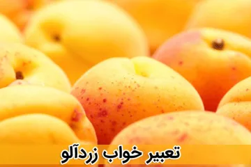 apricot-dream-meaning-interpretations-4