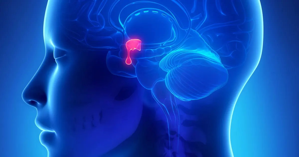 Hero_Gland_Pituitary1