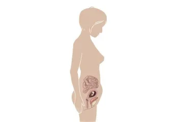 5f121d5c5437e