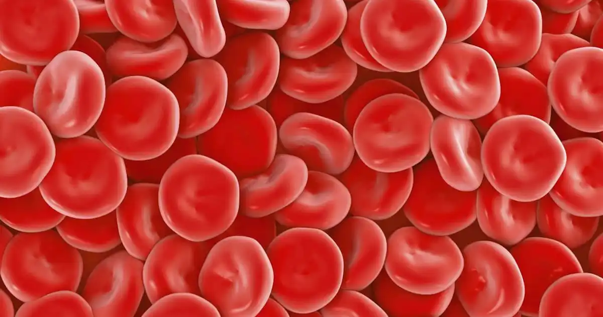 low-hemoglobin-causes