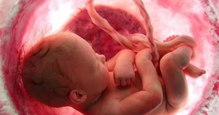 Abortion-1