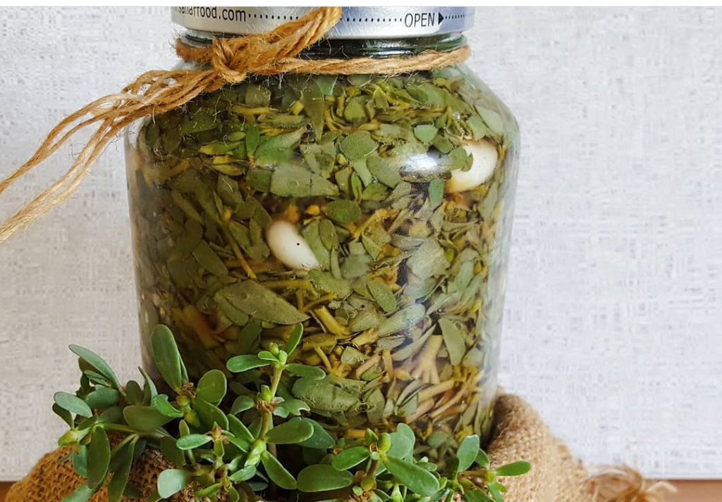 طرز تهیه ترشی خرفه ؛ چاشنی خوشمزه و پرخاصیت