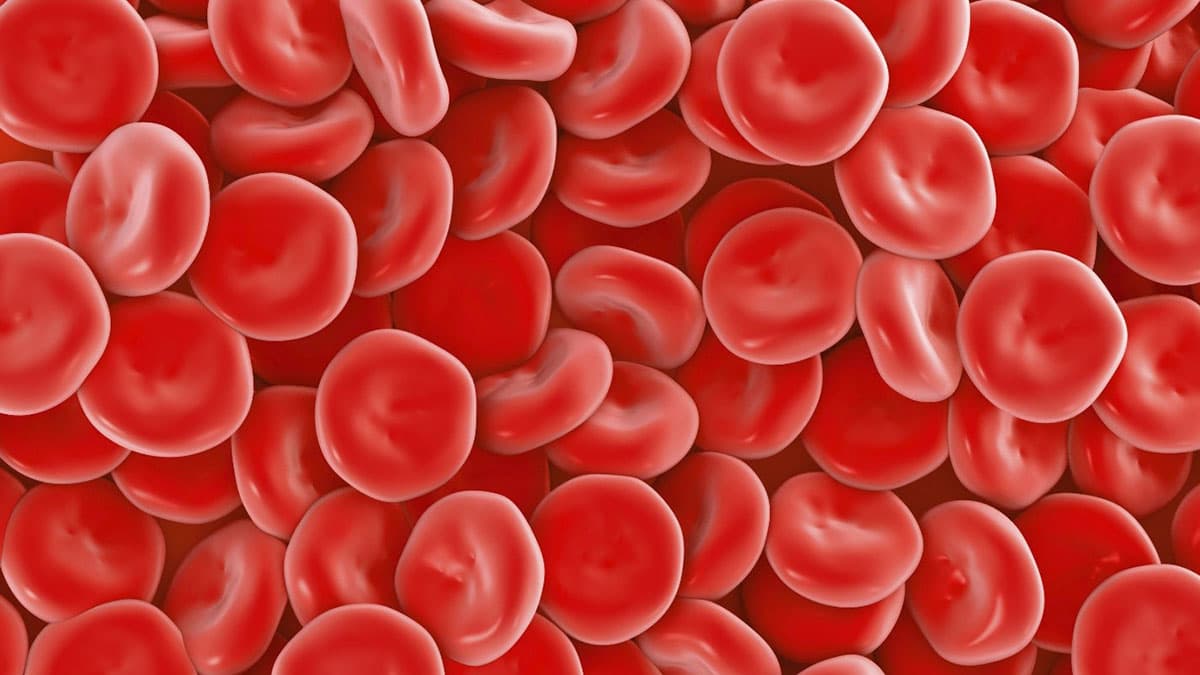 هموگلوبین پایین: علل، علائم و روشهای درمان موثر آن