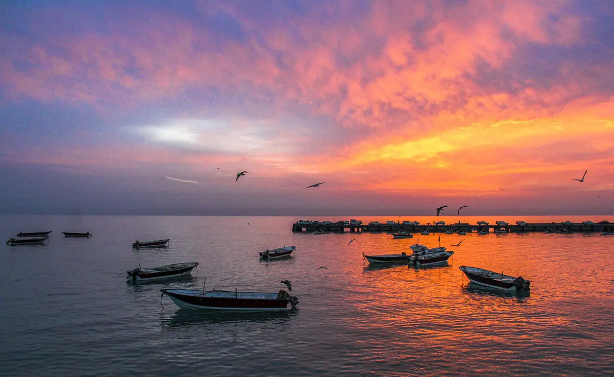 هندیجان کجاست؟ راهنمای کامل و جذاب برای آشنایی با این شهر